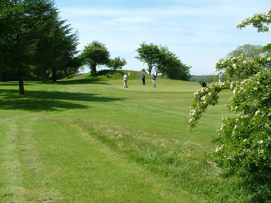 Views of the Twelfth